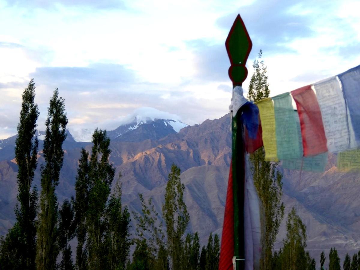 Hotel Holiday Ladakh Leh Kültér fotó